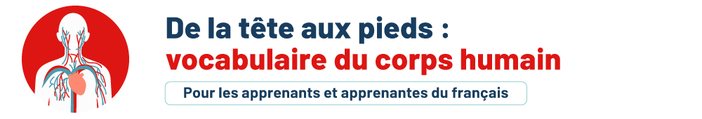 Une langue en santé : vocabulaire du corps humain. Pour les personnes apprenantes.